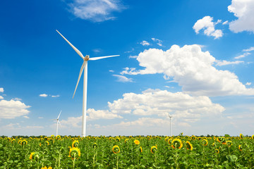 The wind generator in sunflower field. Beautiful landscape with bright cloudy sky. Eco energy...