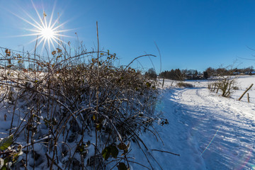Wanderweg in der Eifel im Winter bei Sonnenschein