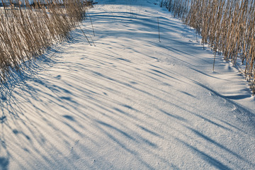 Winterlandschaft