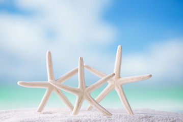 Fototapeta na wymiar starfish on white ocean beach