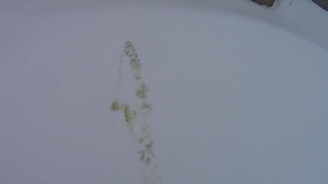 guy pees on the snow. Traces of urine in the snow.