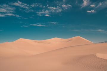 Fototapeta na wymiar Dune Vibes
