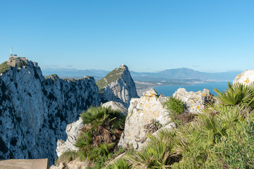 Rocks of Gibraltar with plants