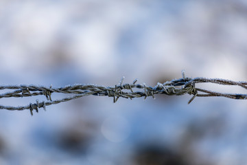 Stacheldraht im Winter mit Eis