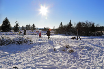 parc naturel des Hautes-Fagnes sous la neige, Belgique