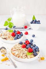 Homemade granola or oatmeal muesli with nuts, dried fruits and fresh berries. Healty diet breakfast, vegeterian food concept