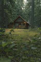 Cabin in the Woods