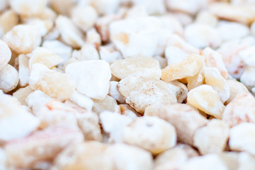 Set of stones of a round form are isolated on a white background