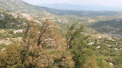 Fototapeta na wymiar Paysage aride en Croatie