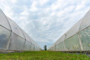 Business about modern agricultural industries