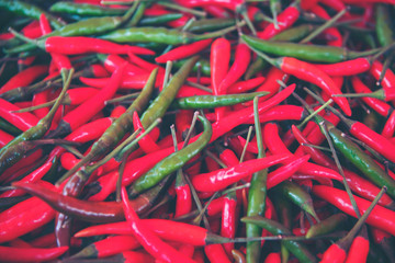 Chili in the plot pushed free of chemicals.