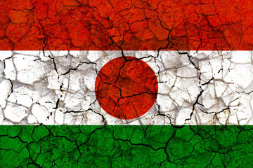 niger country flag painted on a cracked grungy wall
