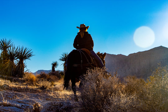 Desert trail ride