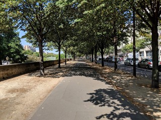 alley in the park