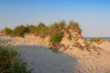 Cape cod beach in summer