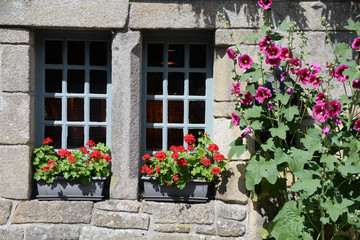 Fototapeta na wymiar Blumenfenster in Locronan, Bretagne