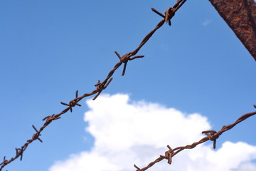 Rusty barbed wire and blue sky background.