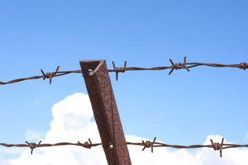 Rusty barbed wire and blue sky background.