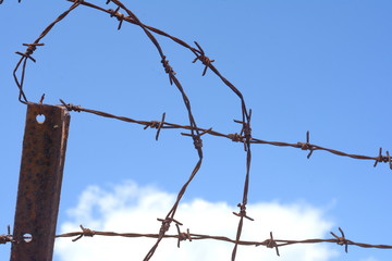 Rusty barbed wire and blue sky background.