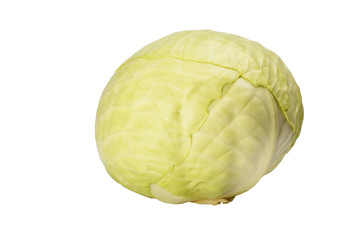 Raw green cabbage isolated on white background.