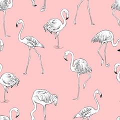 Seamless flamingos pattern, vector