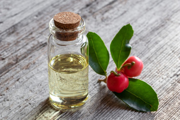 A bottle of wintergreen essential oil with fresh wintergreen twigs