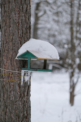 The bird feeder on the tree is covered with snow.