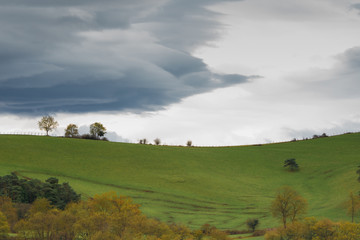 green landscape with gray clouds