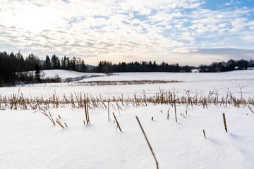 Empty Countryside Landscape in Sunny Winter Day with Snow Covering the Ground, Abstract Background with Deep Look