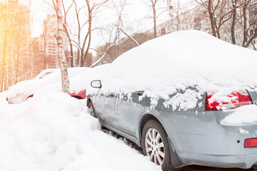 Cars covered with fresh white snow