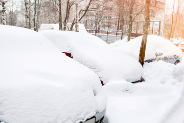 Cars covered with fresh white snow