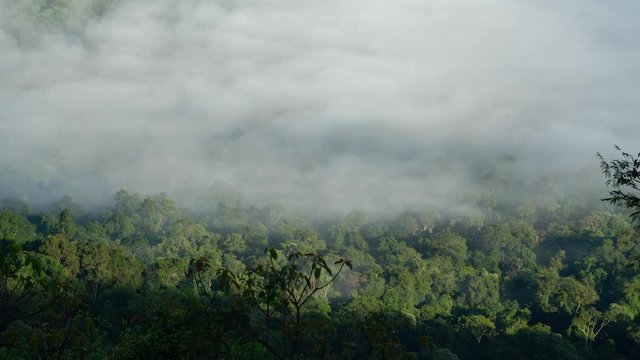 Timelipse vista Cu&ntilde;apir&uacute;