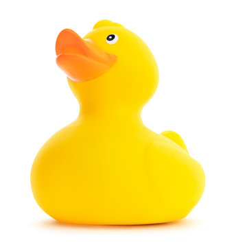 Low view of a cute yellow rubber ducky on a white background.