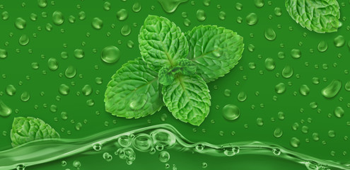 Green drops. Mint. 3d realistic vector © Natis
