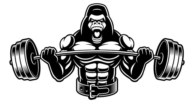 Black and white illustration of a  gorilla with barbell