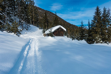 Holzhütte im verschneiten Wald