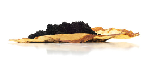 Low view of isolated brewed ground coffee filter paper on a white background.