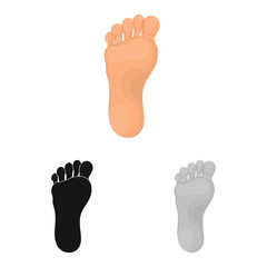 Vector illustration of body and part symbol. Collection of body and anatomy vector icon for stock.