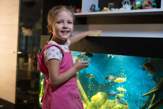 girl child looks at the fish in the aquarium