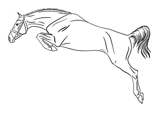 Jumping Horse Outline Images – Browse 21,565 Stock Photos, Vectors, and ...