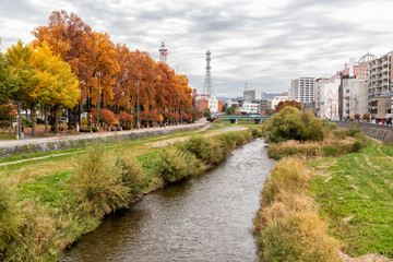 Obraz premium Morioka Castle Park in the Autumn - Northern Japan