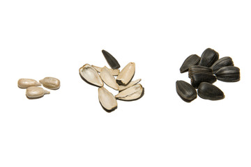 Sunflower seed. Open sunflower seeds. Seed husks. Isolated on white background.