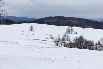 Snowy north Bohemia Landscape, Jizerske Mountains, Czech Republic