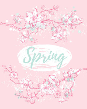 Spring watercolor sakura flower blossom poster, hand drawn style banner. Cute doodle japanese cherry plant. Vector illustration isolated on pink mint background. Realistic floral bloom holiday card