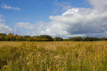 field and blue sky