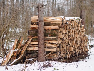 Brennholz - Kuschelige Wärme für den Kaminofen
