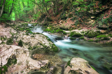 Mountain river in summer. Water stream at forest. Composition of nature