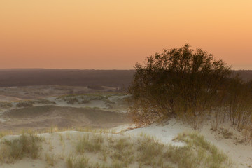 Dunes of Curonian spit
