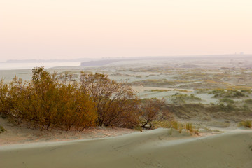 Dunes of Curonian spit
