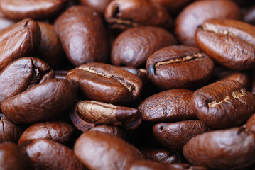 studio macro coffee beans